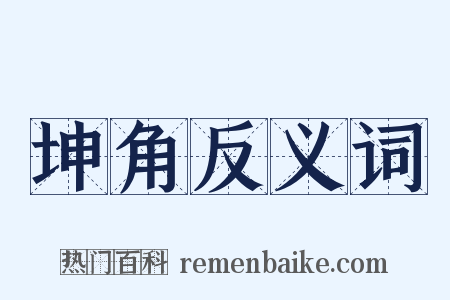 坤角反义词是什么意思的图片